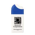 .67 Oz. Misting Hand Sanitizer Spray - 4