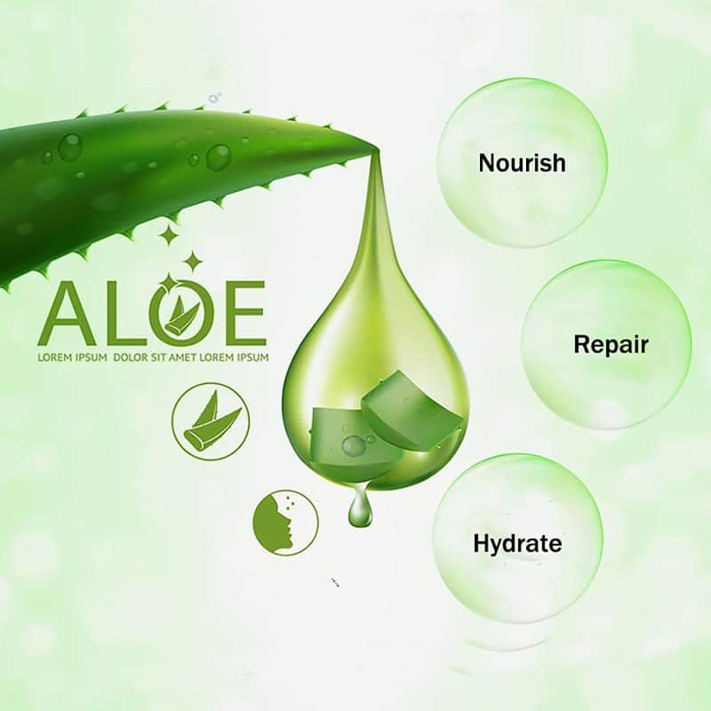 5 Oz. Hand & Body Lotion With Pump - 2