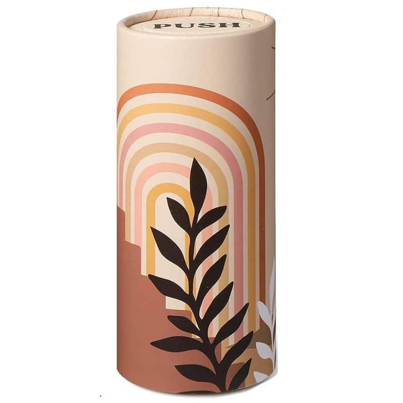 Car Napkin Tube w/ Facial Tissue - 3