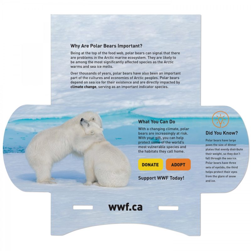 With Kiwi Scent And Large Customizable Sleeve 0 07 Fl Oz / 2 Ml Per Packet - 2