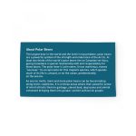 With Kiwi Scent And Large Customizable Sleeve 0 07 Fl Oz / 2 Ml Per Packet - 6