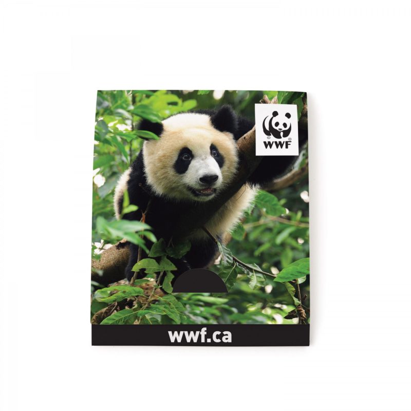 With Kiwi Scent And Small Customizable Sleeve 0 07 Fl Oz / 2 Ml Per Packet - 7