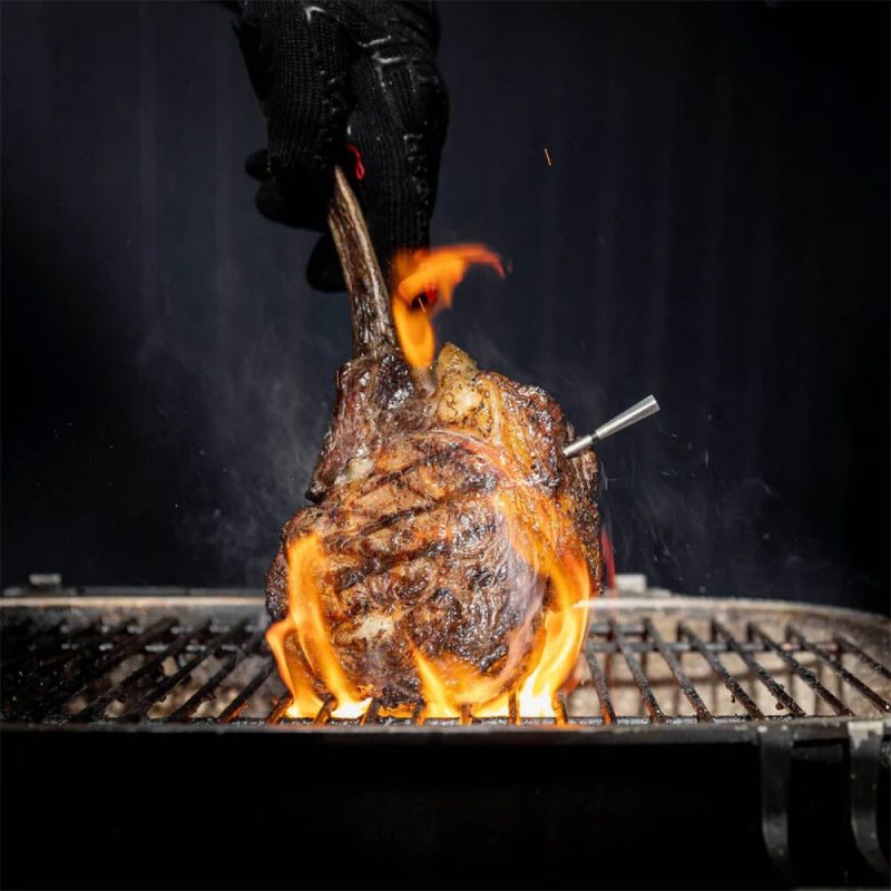 Meater Pro Smart Meat Thermometer - 5