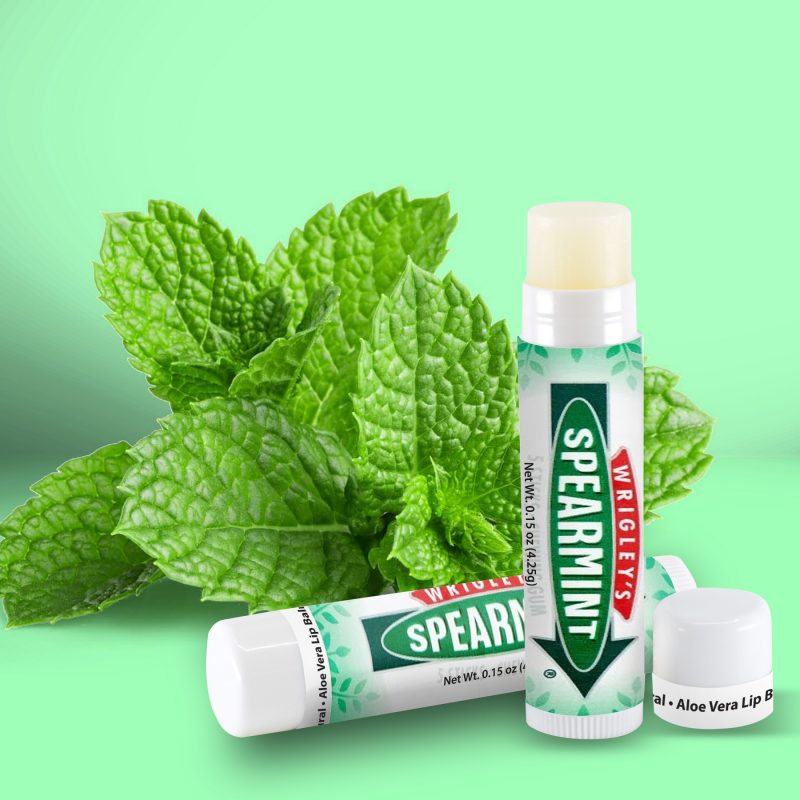 SPF15 Value Lip Balm - 8